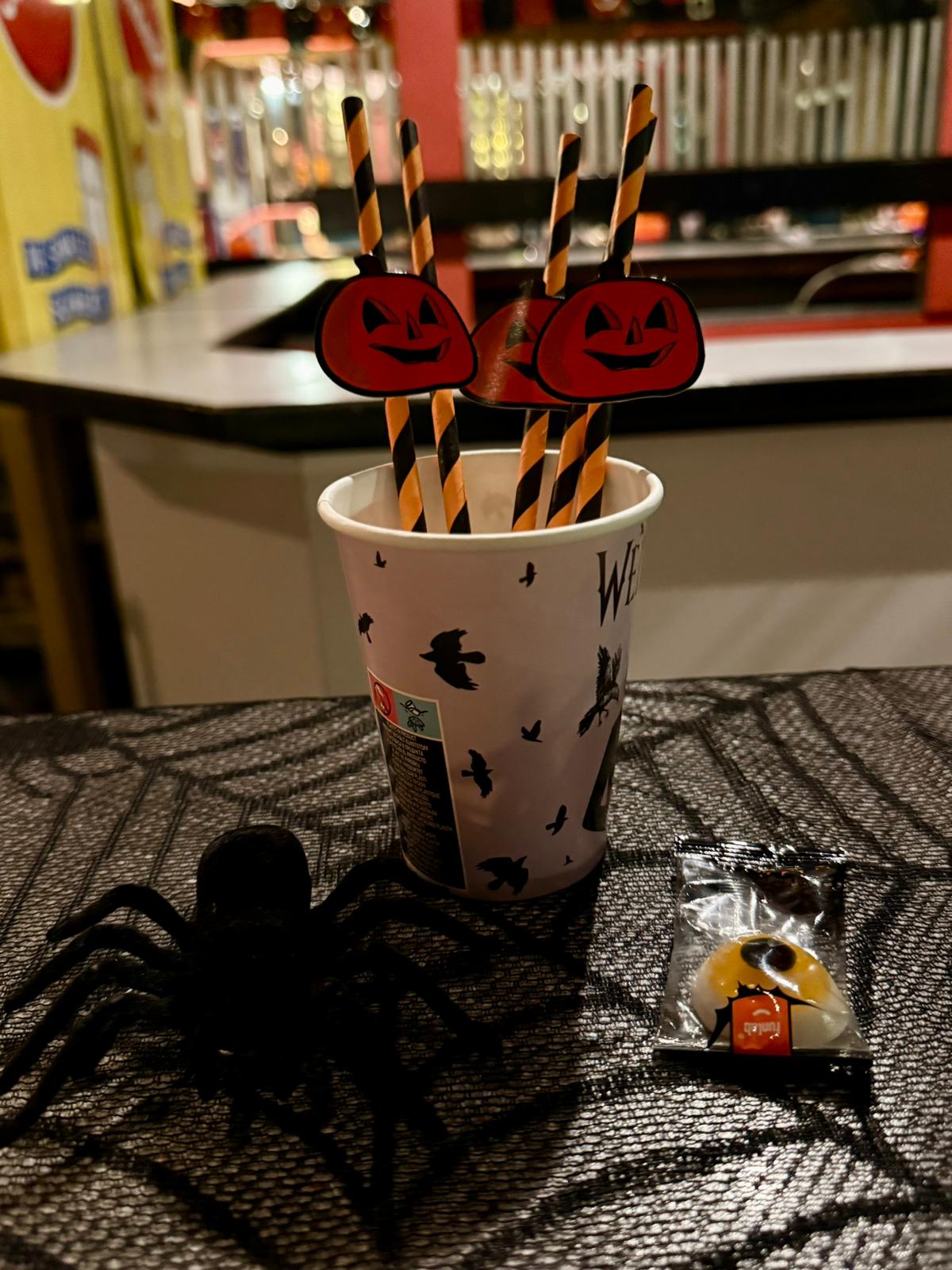 WhatsApp Image 2025-10-30 at 17.25.20 (3)